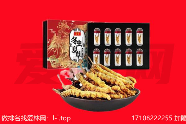 龙华区回收虫草.jpg